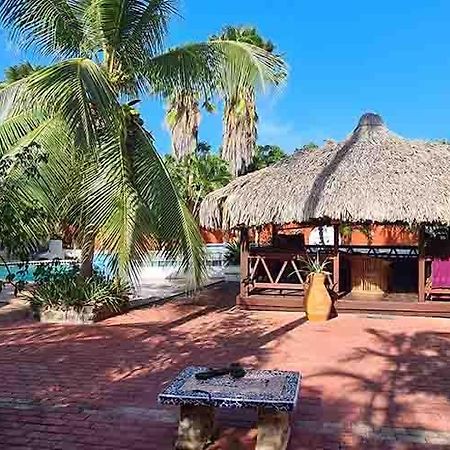 Woodstock Palmresort Curacao Willemstad Kültér fotó