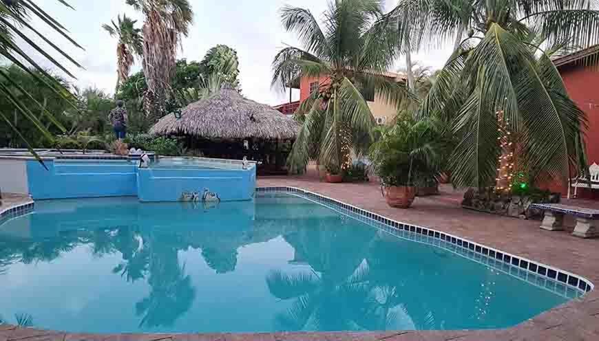 Woodstock Palmresort Curacao Willemstad Kültér fotó