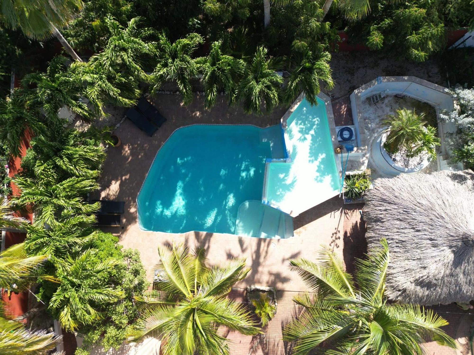 Woodstock Palmresort Curacao Willemstad Kültér fotó