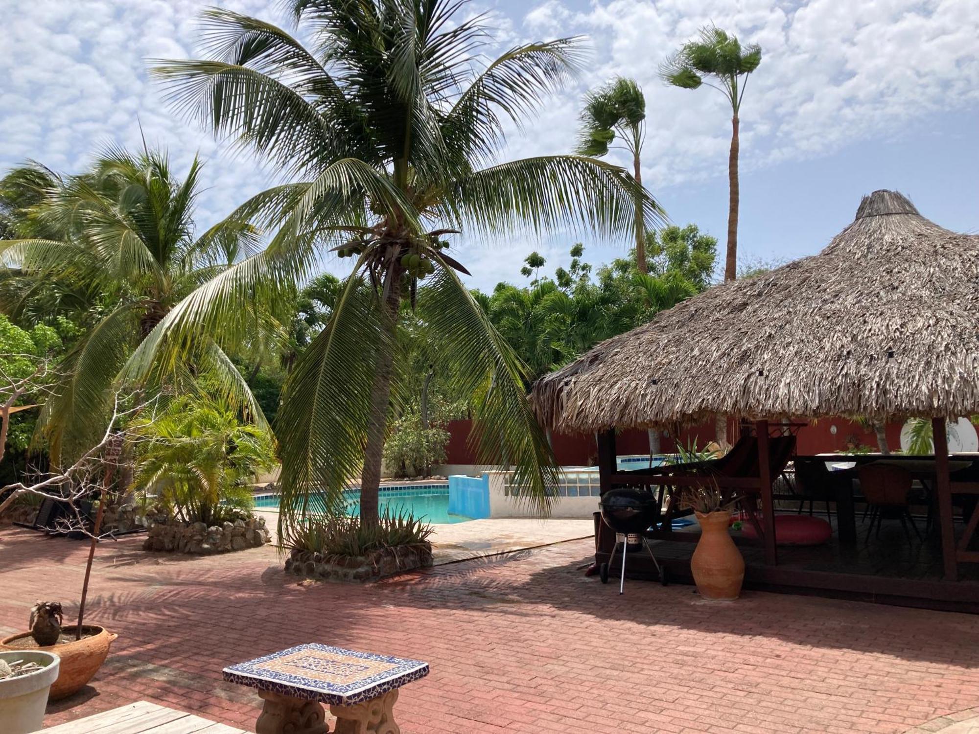 Woodstock Palmresort Curacao Willemstad Kültér fotó